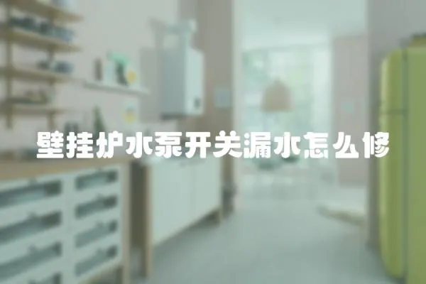 壁掛爐水泵開關漏水怎么修