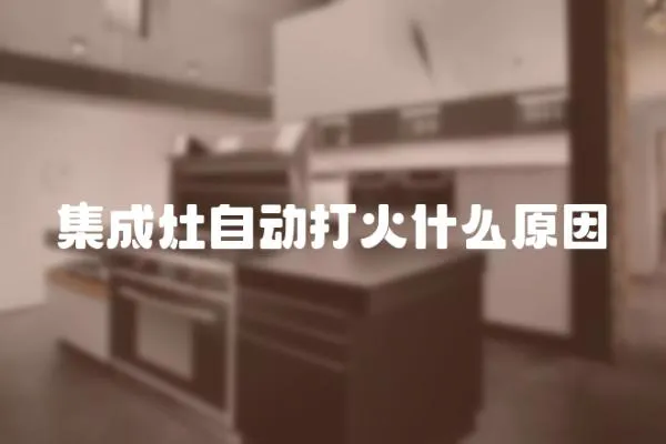 集成灶自動打火什么原因