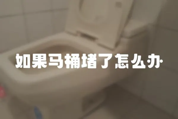 如果馬桶堵了怎么辦