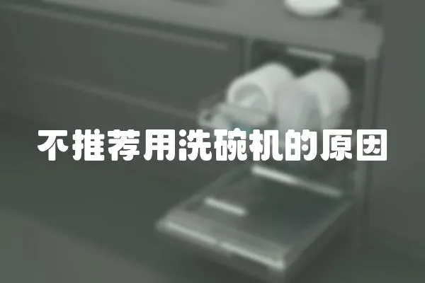 不推薦用洗碗機的原因