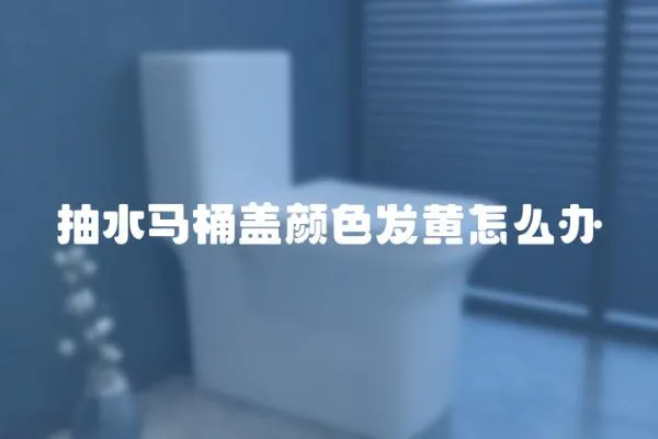 抽水馬桶蓋顏色發(fā)黃怎么辦