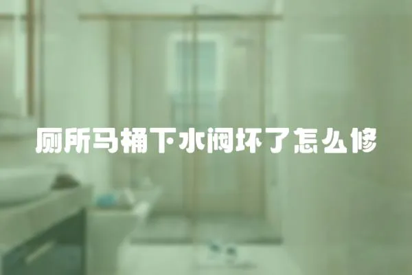 廁所馬桶下水閥壞了怎么修