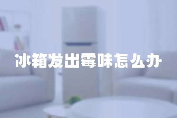冰箱發出霉味怎么辦