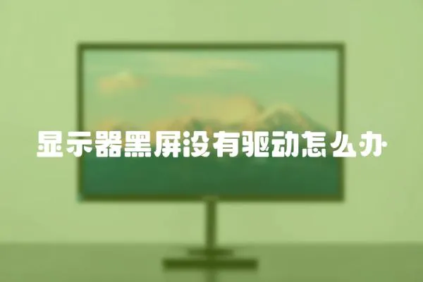 顯示器黑屏沒有驅(qū)動(dòng)怎么辦