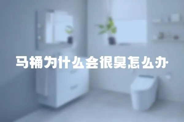 馬桶為什么會很臭怎么辦