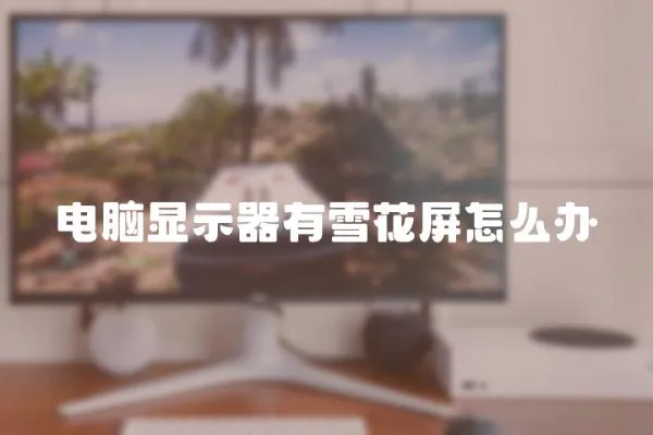 電腦顯示器有雪花屏怎么辦