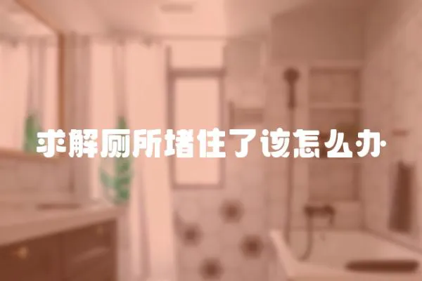 求解厕所堵住了该怎么办