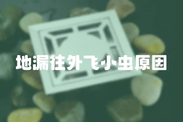 地漏往外飛小蟲原因