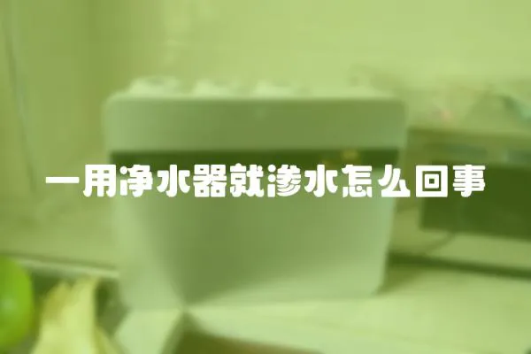 一用凈水器就滲水怎么回事