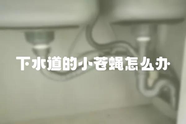 下水道的小蒼蠅怎么辦