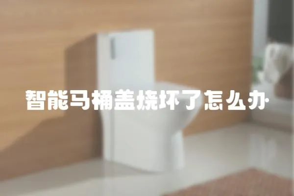 智能馬桶蓋燒壞了怎么辦