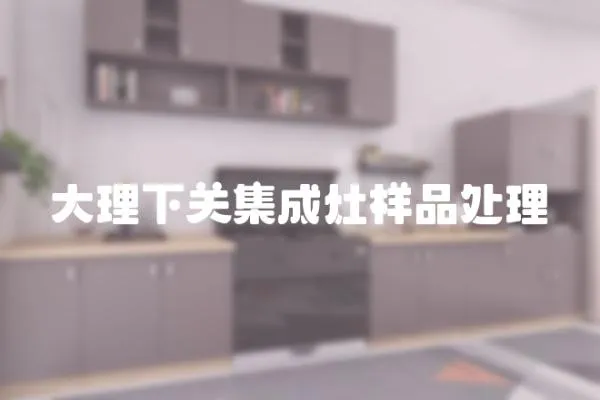 大理下關集成灶樣品處理