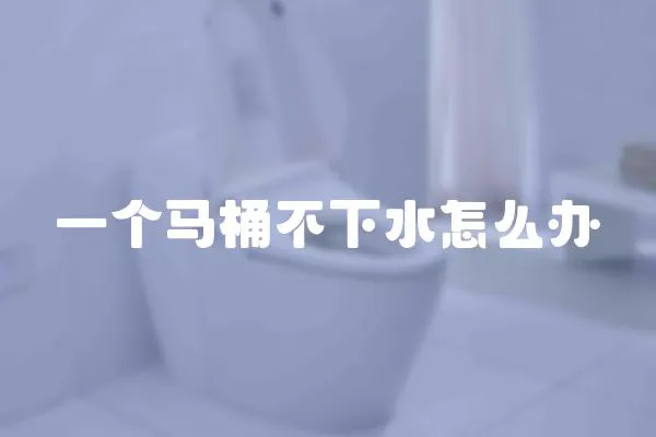一個馬桶不下水怎么辦