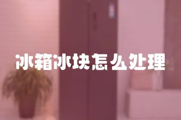 冰箱冰塊怎么處理