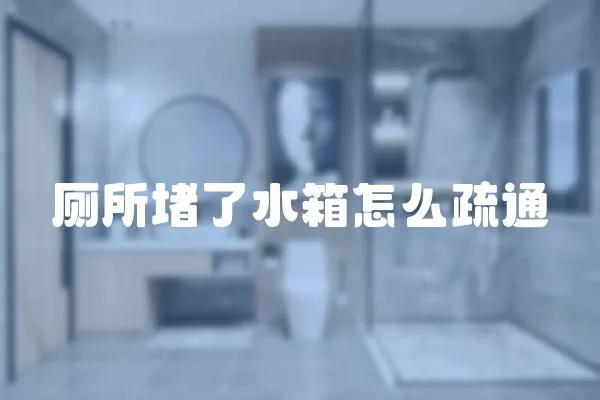 廁所堵了水箱怎么疏通