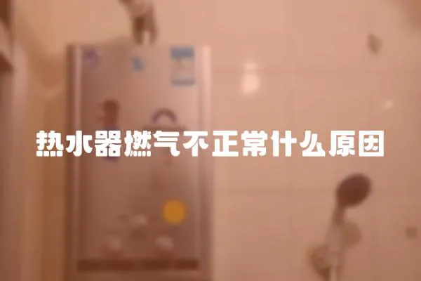 熱水器燃?xì)獠徽J裁丛?></a></div>
                    <div   id=