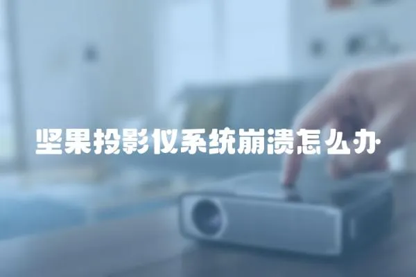 堅果投影儀系統崩潰怎么辦