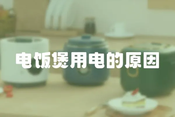 電飯煲用電的原因