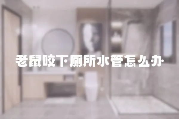 老鼠咬下廁所水管怎么辦