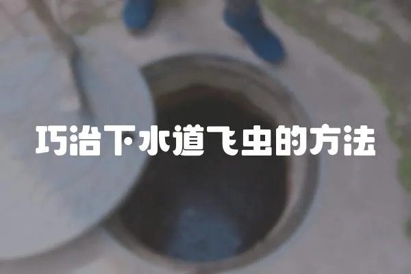 巧治下水道飛蟲的方法