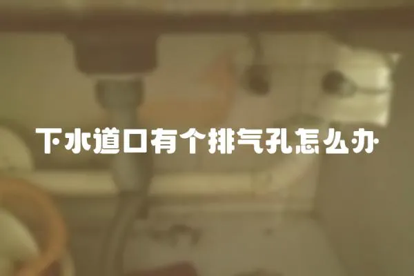 下水道口有個排氣孔怎么辦