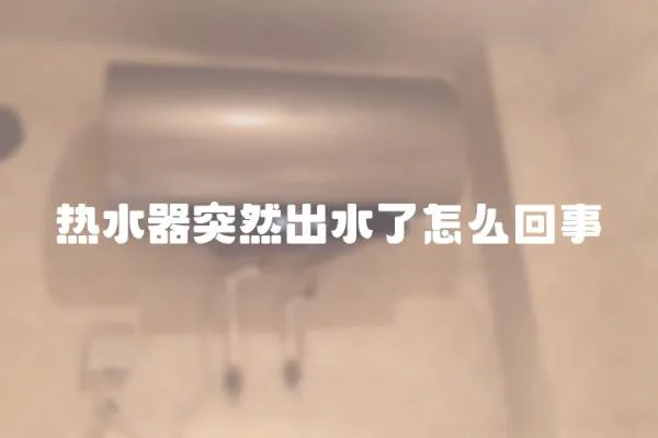 熱水器突然出水了怎么回事