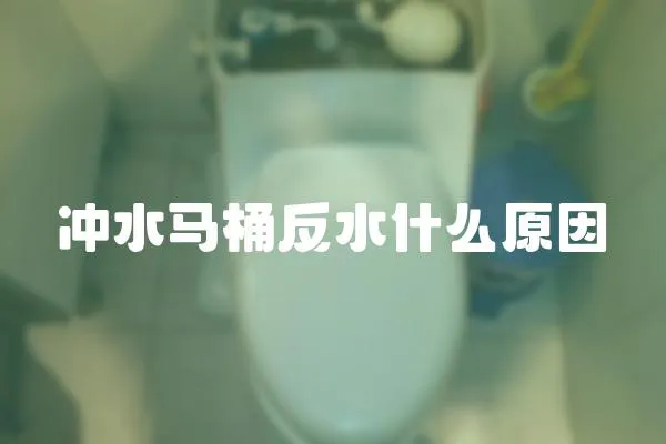 沖水馬桶反水什么原因