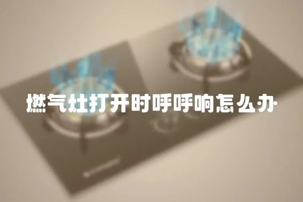 燃?xì)庠畲蜷_時(shí)呼呼響怎么辦