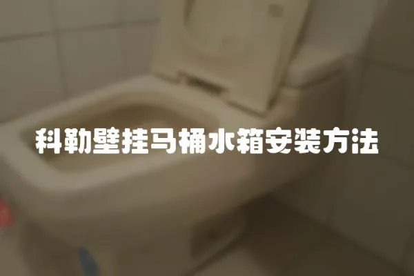 科勒壁掛馬桶水箱安裝方法