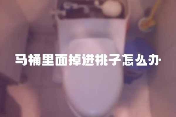 馬桶里面掉進(jìn)桃子怎么辦