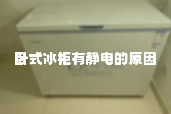 臥式冰柜有靜電的原因
