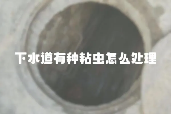 下水道有種粘蟲怎么處理