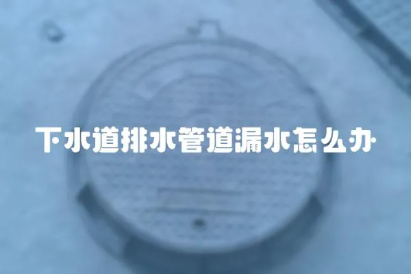 下水道排水管道漏水怎么辦