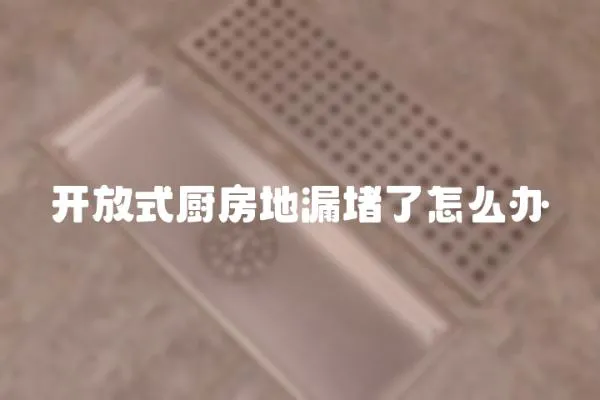 開放式廚房地漏堵了怎么辦
