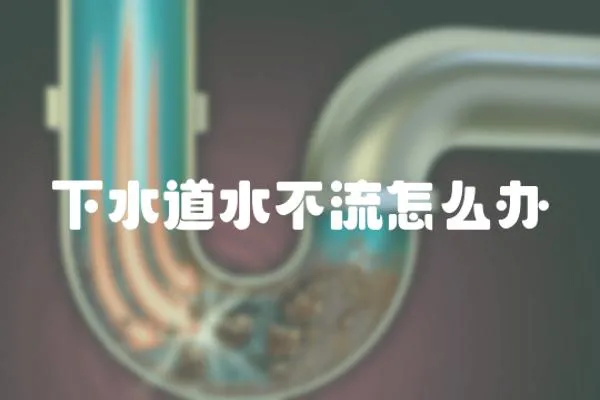 下水道水不流怎么辦