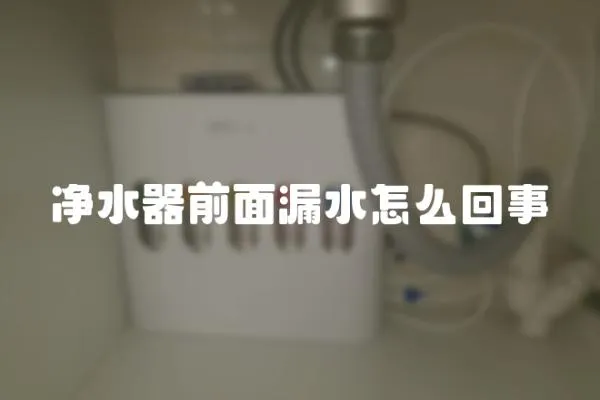凈水器前面漏水怎么回事