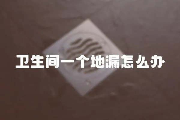 衛(wèi)生間一個地漏怎么辦