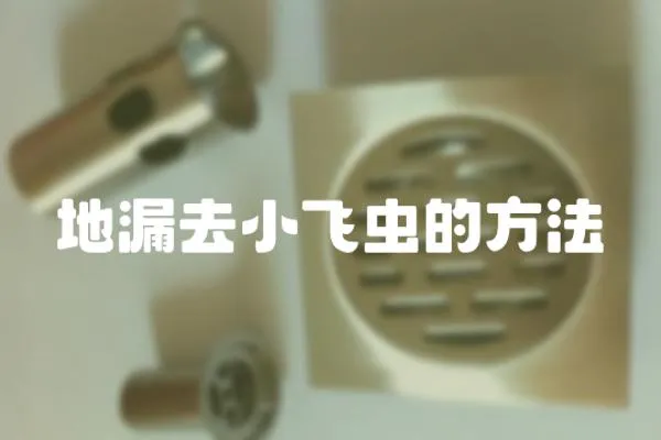 地漏去小飛蟲的方法
