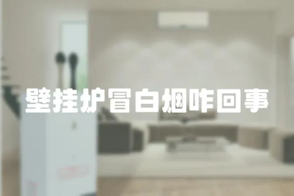 壁掛爐冒白煙咋回事