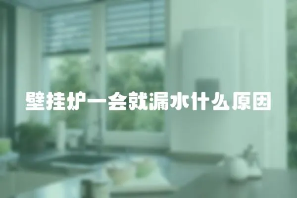 壁掛爐一會就漏水什么原因