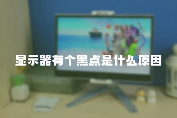 顯示器有個黑點是什么原因