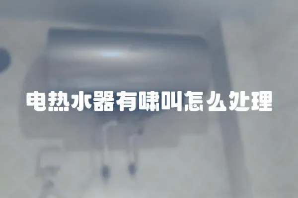 電熱水器有嘯叫怎么處理