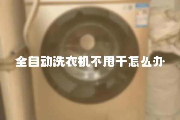 全自動洗衣機不甩干怎么辦