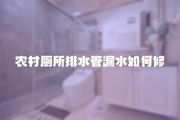 農村廁所排水管漏水如何修