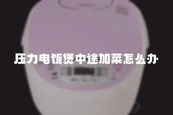 壓力電飯煲中途加菜怎么辦