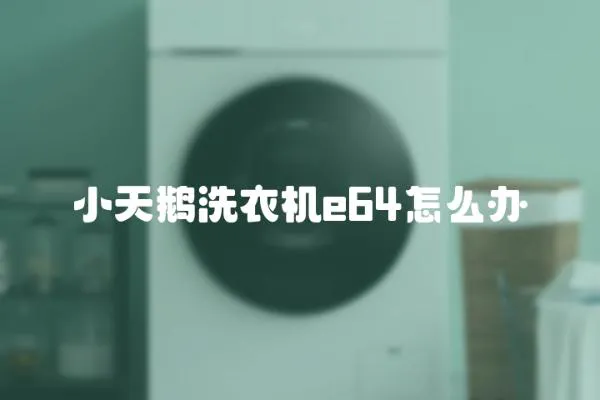 小天鵝洗衣機e64怎么辦