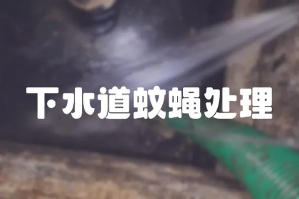 下水道蚊蠅處理