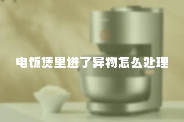 電飯煲里進了異物怎么處理