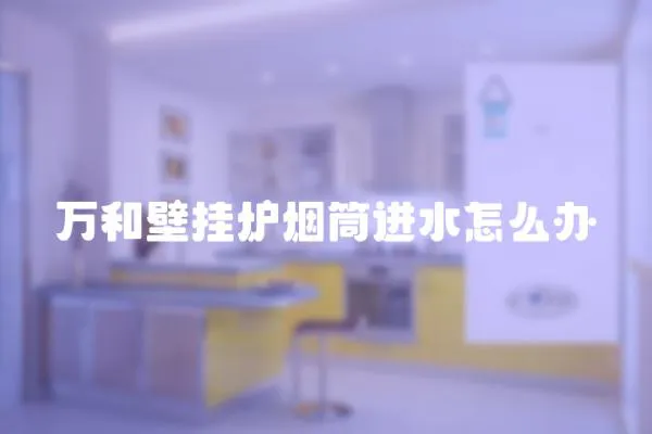 萬和壁掛爐煙筒進水怎么辦