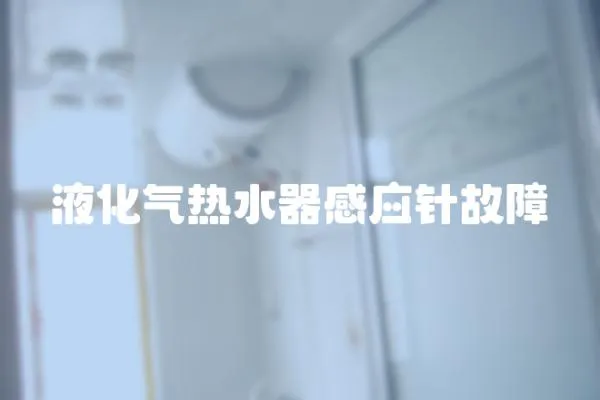 液化氣熱水器感應針故障